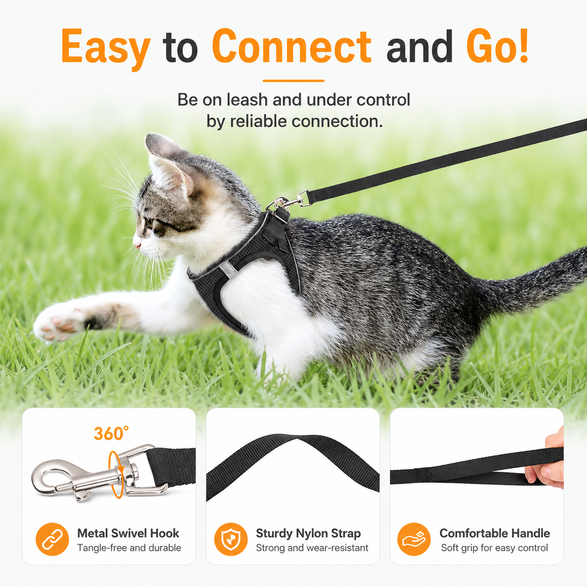 Kitten walking on the Noblias lead, with its 360 degree metal swivel hook, sturdy nylon strap and padded handle.