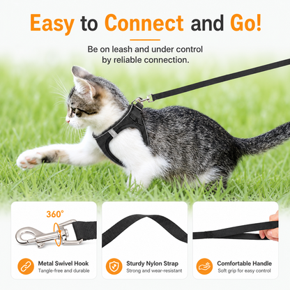 Kitten walking on the Noblias lead, with its 360 degree metal swivel hook, sturdy nylon strap and padded handle.