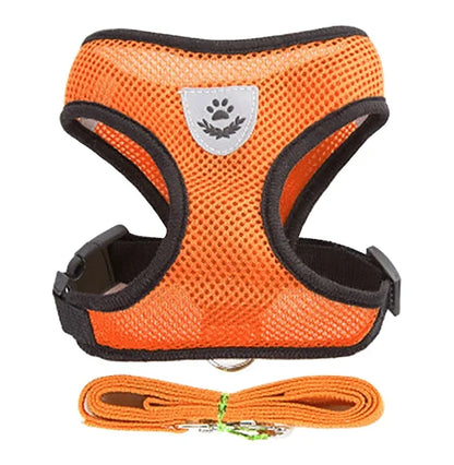 Orange reflective cat harness vest and leash set for safe outdoor walking