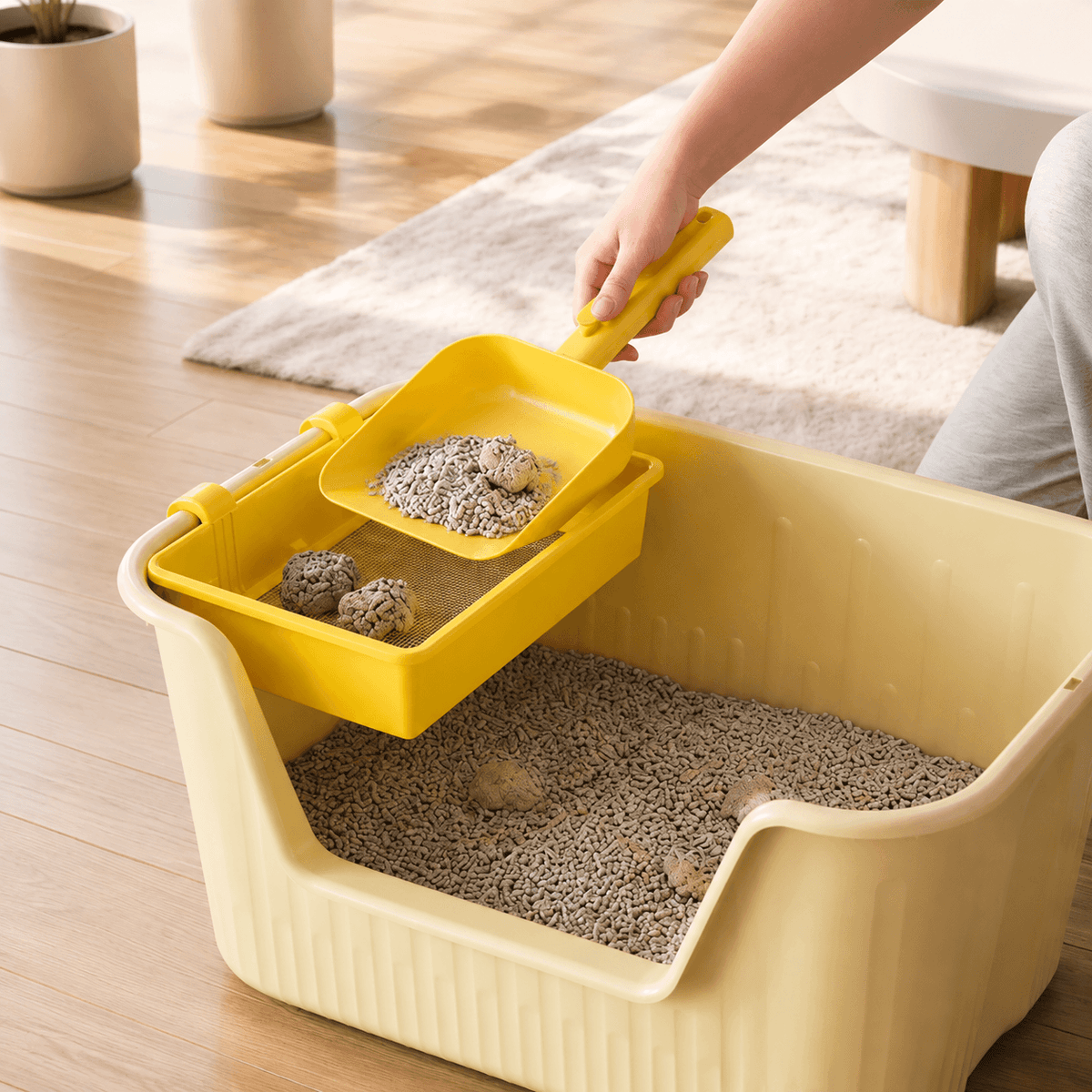 A hand lifting the yellow cat litter sifting tray out of a cream litter box with clumps caught in the mesh.