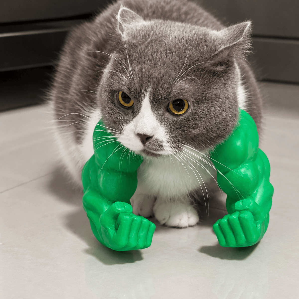 Gray and white cat wearing the green 3D printed muscle arms, fists resting on the floor in front of it