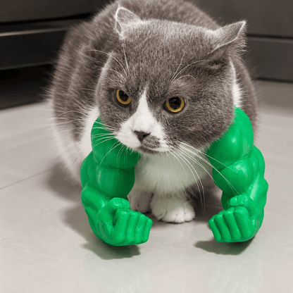 Gray and white cat wearing the green 3D printed muscle arms, fists resting on the floor in front of it
