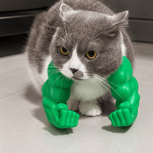 Gray and white cat wearing the green 3D printed muscle arms, fists resting on the floor in front of it