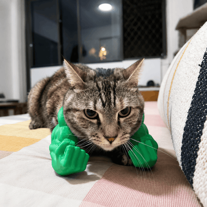 Tabby cat lying on a bed wearing the green muscle arms with both fists forward