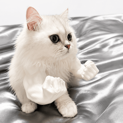 Long-haired white cat on a gray sheet wearing the white 3D printed muscle arms