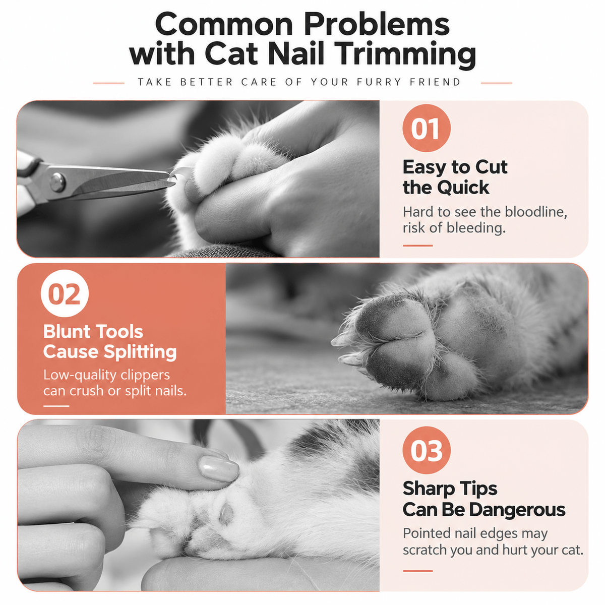 Infographic of common cat nail trimming problems that the cat nail clippers are designed to help with.