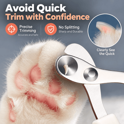 Cat nail clippers lined up on a white cat's paw, with an inset showing the visible quick of the nail.