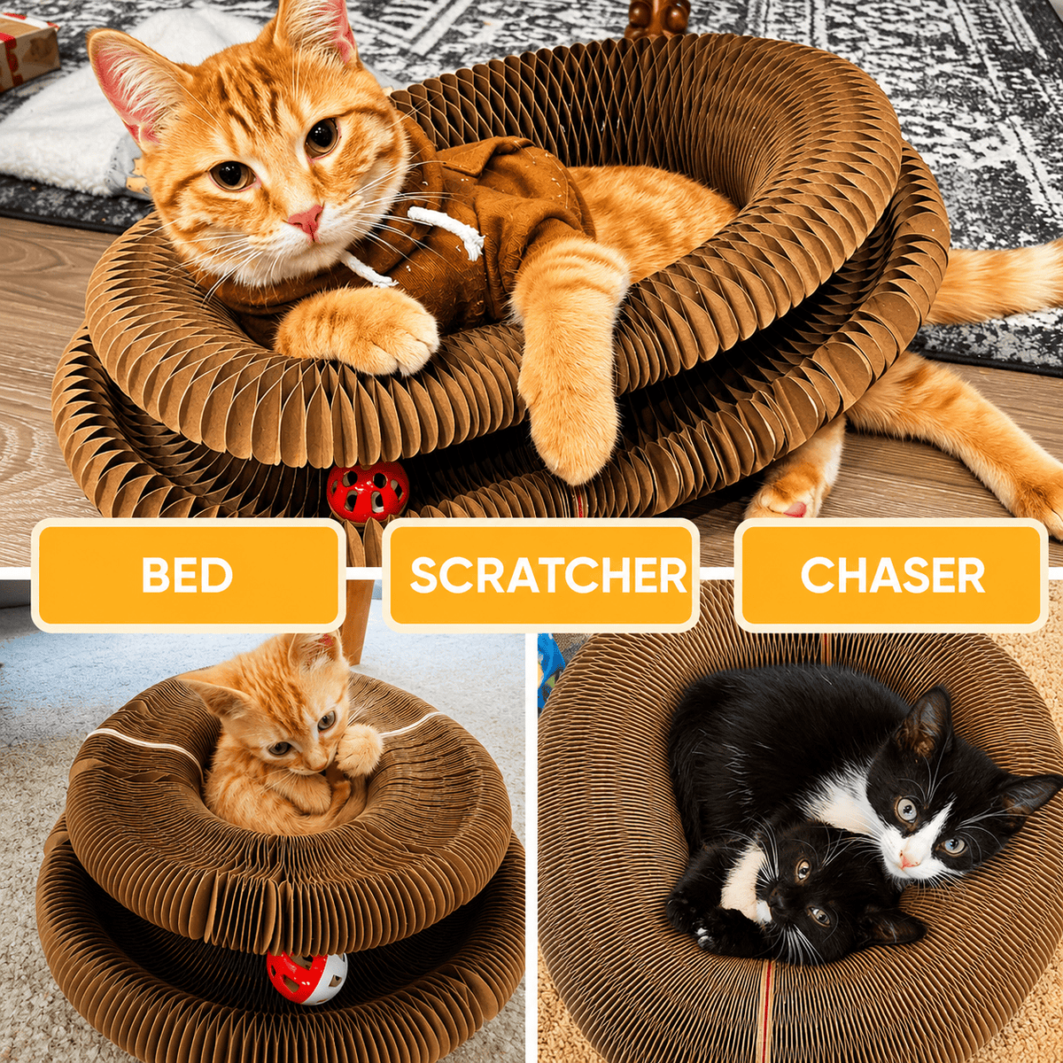 Three uses of the cardboard cat scratcher shown as bed, scratcher and chaser, with a ginger cat stretched along it, a ginger cat curled inside the ring and a tuxedo cat resting in it