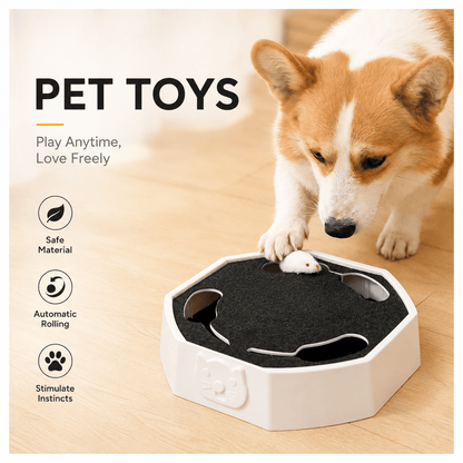 Corgi pawing at the white cat scratcher toy, showing it also suits small dogs