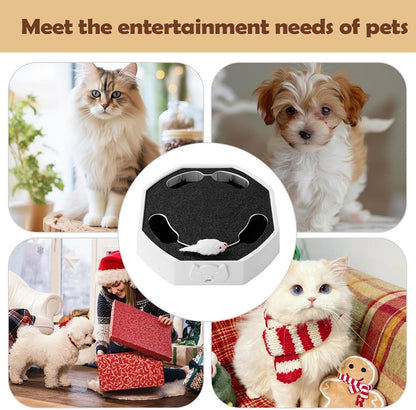 Collage of cats and small dogs playing with the white cat scratcher toy with moving mouse