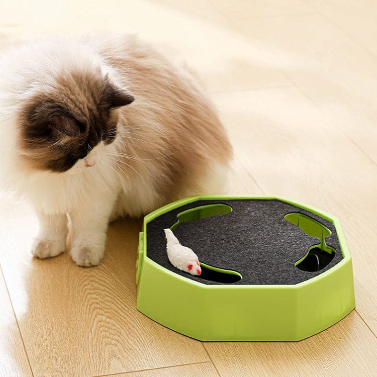 Ragdoll cat watching the plush mouse on the green cat scratcher toy on a wooden floor