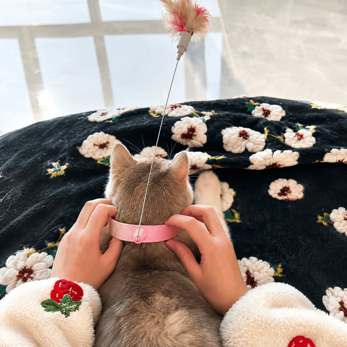 Cat lying on a dark blanket reaching up for the feather on its teaser collar