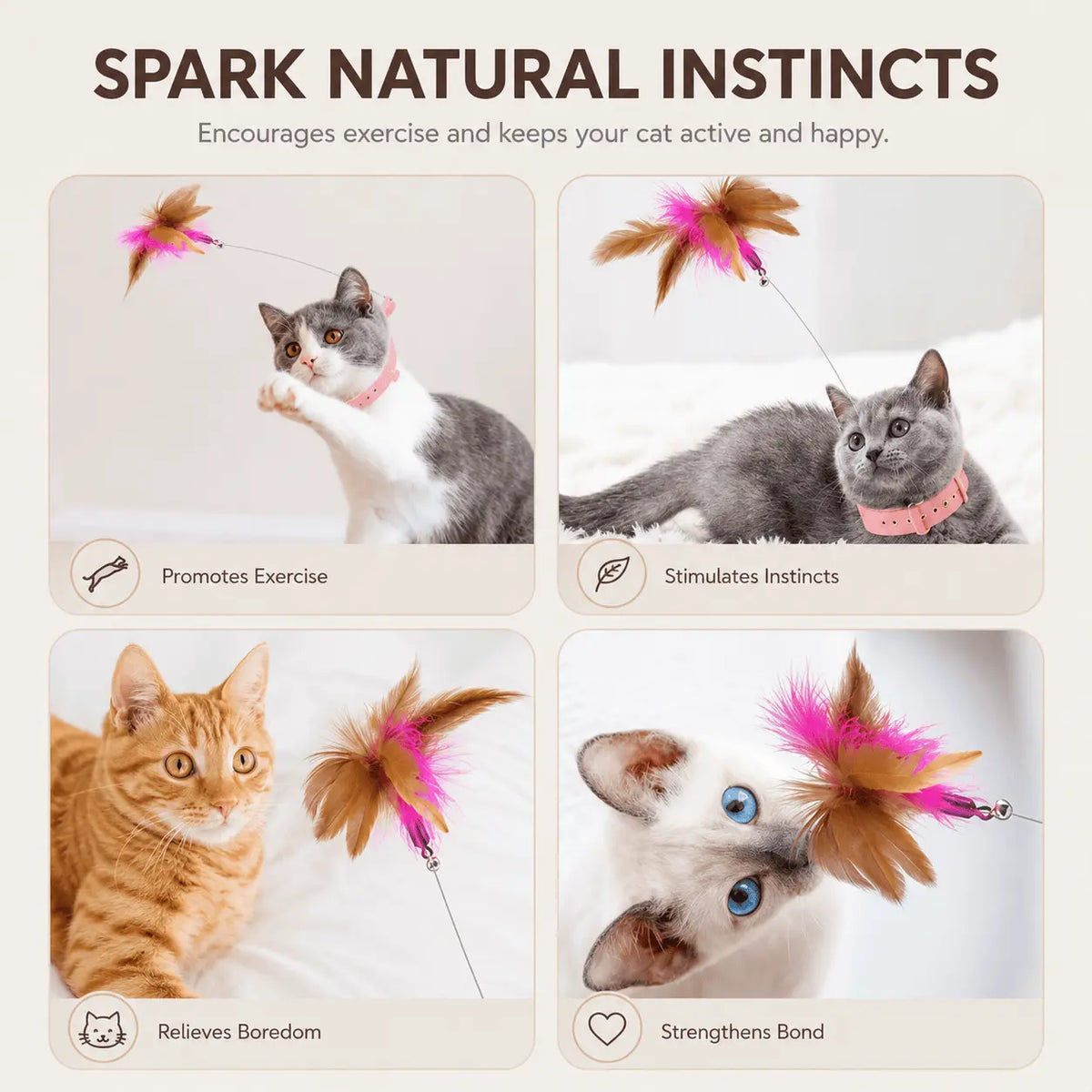 Four panel montage of cats wearing the teaser collar, labeled promotes exercise, stimulates instincts, relieves boredom and strengthens bond