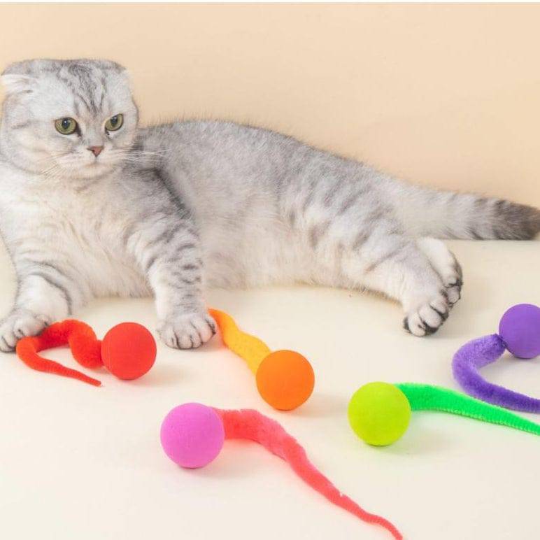 Gray tabby cat lying among five colorful bouncing cat toy balls with worm tails