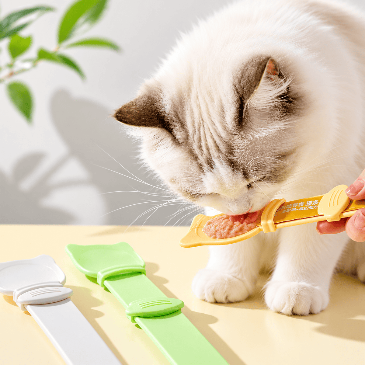 Ragdoll cat licking a Noblias cat treat squeeze spoon held over a windowsill, with two spare spoons lying beside it