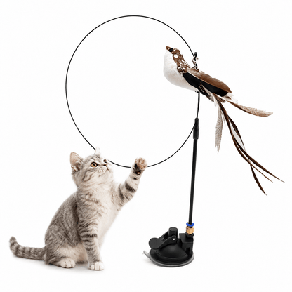 Kitten reaching up with a paw to catch the long tailed bird teaser bouncing on the flexible wire of the Noblias cat wand toy.
