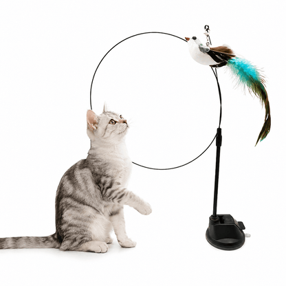 Gray tabby cat looking up at the bird teaser on the Noblias cat wand toy, mounted on its black suction cup base.