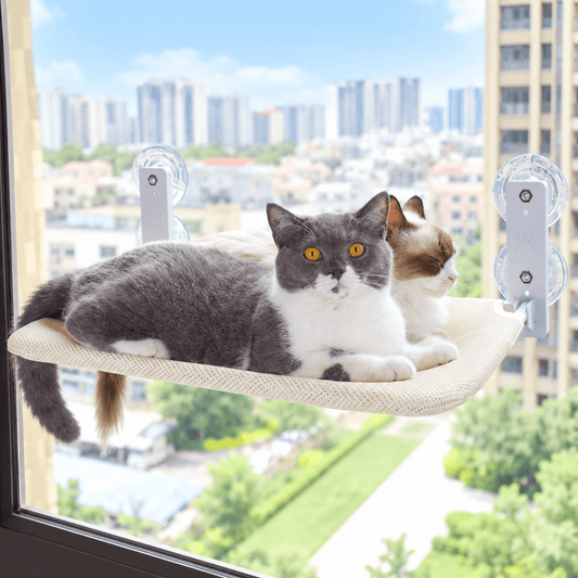Two cats lounging on the beige foldable cat window perch suctioned to a high-rise window.
