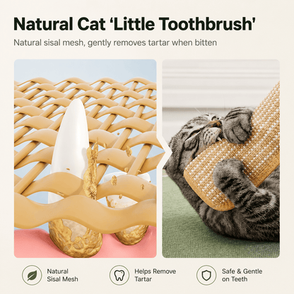 Close up of the natural sisal mesh on the Noblias kicker pillow with a cat biting it, labeled a natural little toothbrush that is gentle on teeth