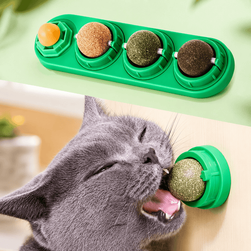 Gray cat licking one of the four rotating balls on the green Noblias catnip wall ball toy.