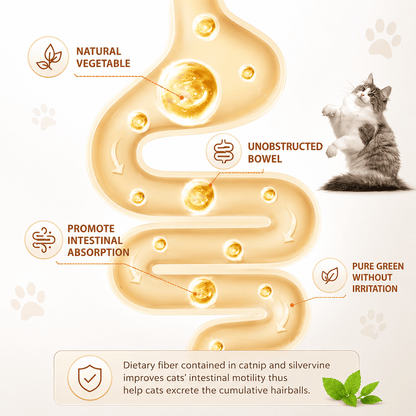 Illustration of the natural plant ingredients pressed into the Noblias catnip and silvervine wall balls.