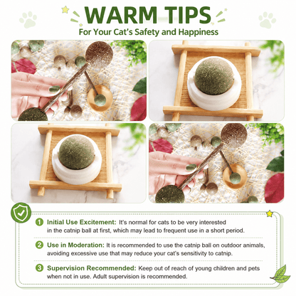 Safety notes for the Noblias catnip wall balls: heavy interest at first is normal, use in moderation, and supervise play.