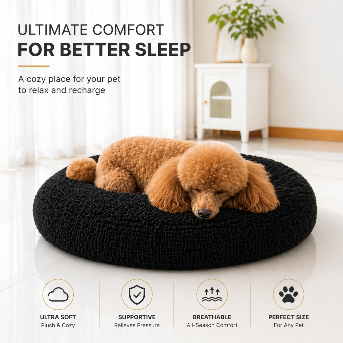 Apricot poodle curled up in the black chenille donut bed in a bright living room