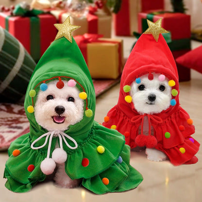 Two small dogs in the green and red Christmas tree pet costumes among wrapped holiday gifts.