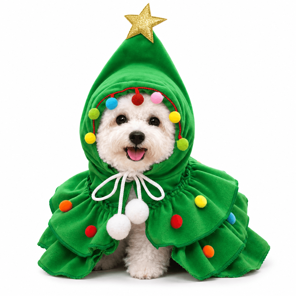 Small white dog wearing the green Christmas tree pet costume with a gold star hood and colorful pom poms.