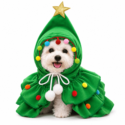 Small white dog wearing the green Christmas tree pet costume with a gold star hood and colorful pom poms.