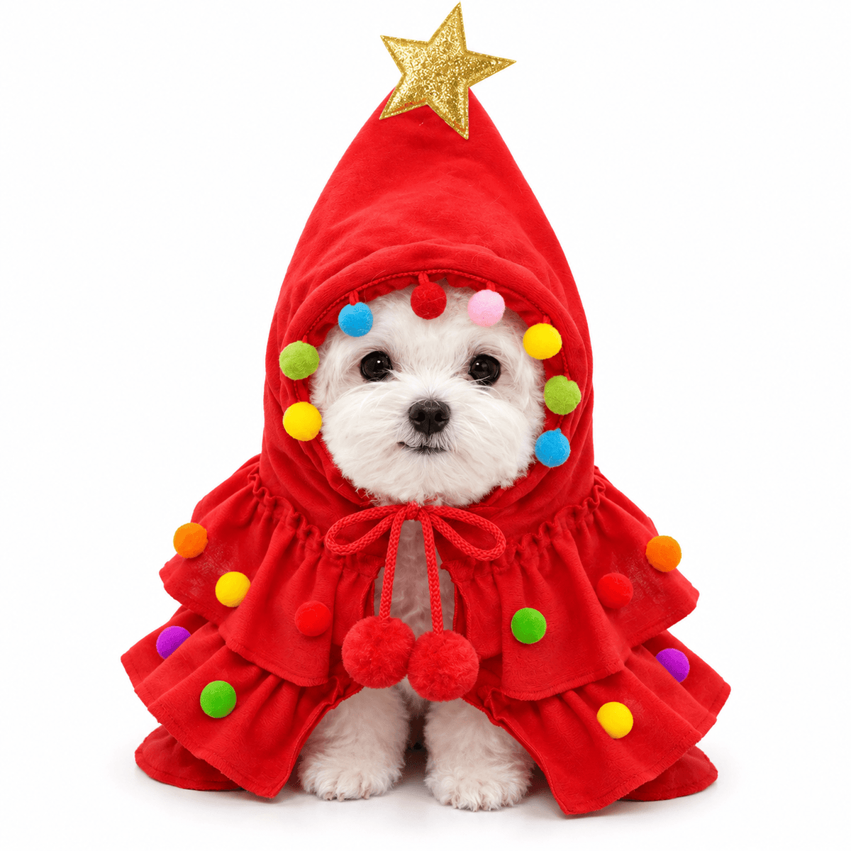 Small white dog wearing the red Christmas tree pet costume with a gold star on the hood.