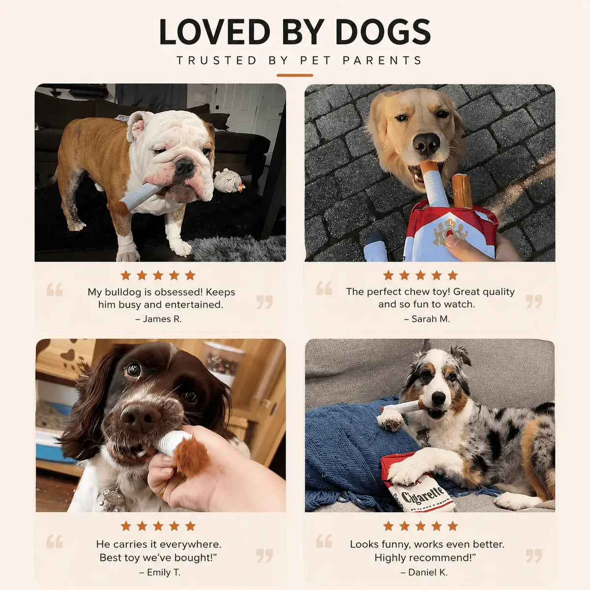 Photo collage of a bulldog, golden retriever, spaniel and australian shepherd playing with the Noblias cigarette dog toy.