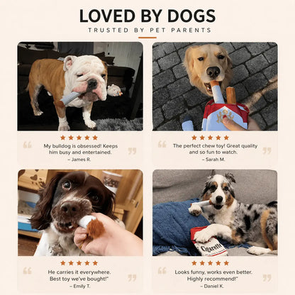 Photo collage of a bulldog, golden retriever, spaniel and australian shepherd playing with the Noblias cigarette dog toy.
