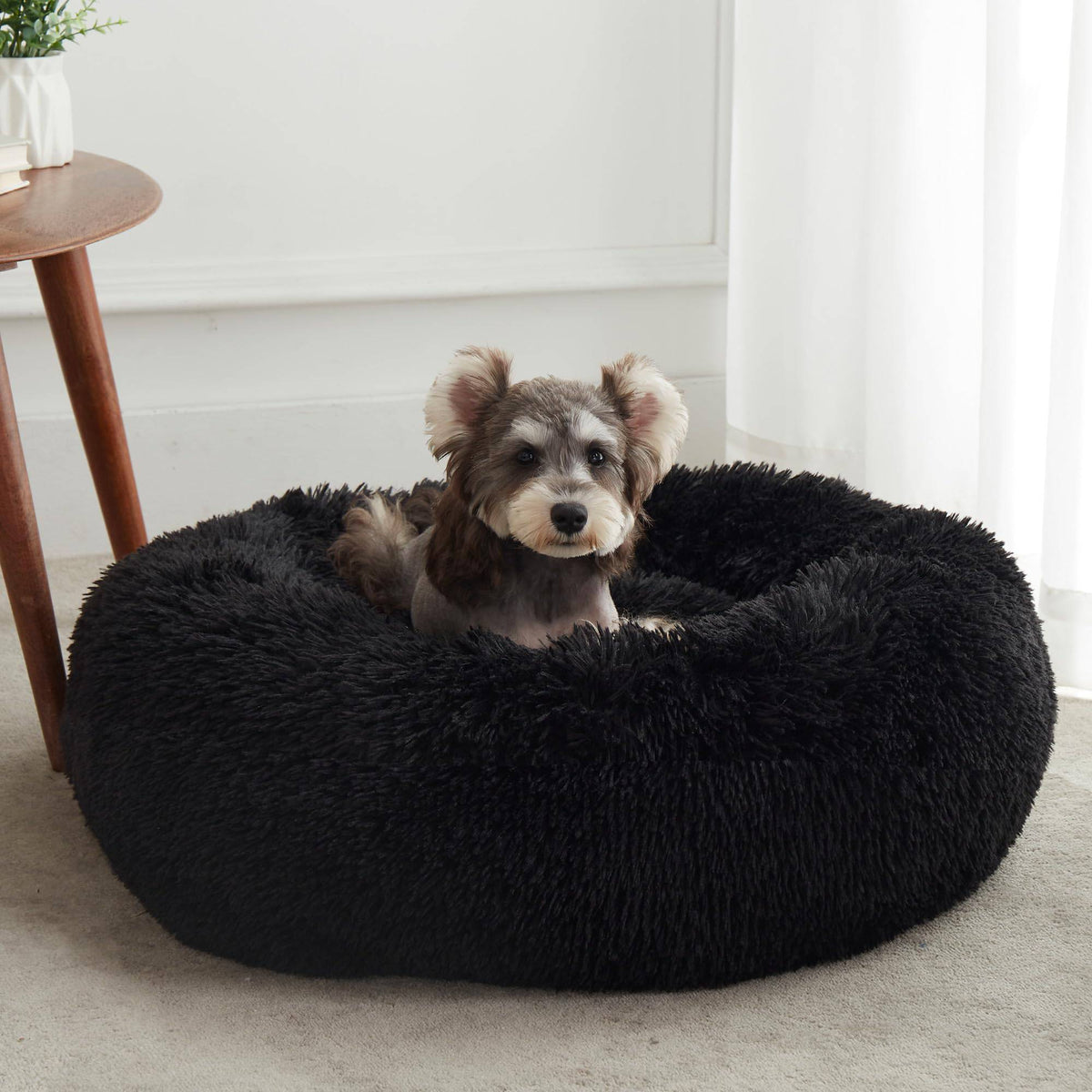 Black Noblias cloud calming donut pet bed with a miniature schnauzer sitting in the center.