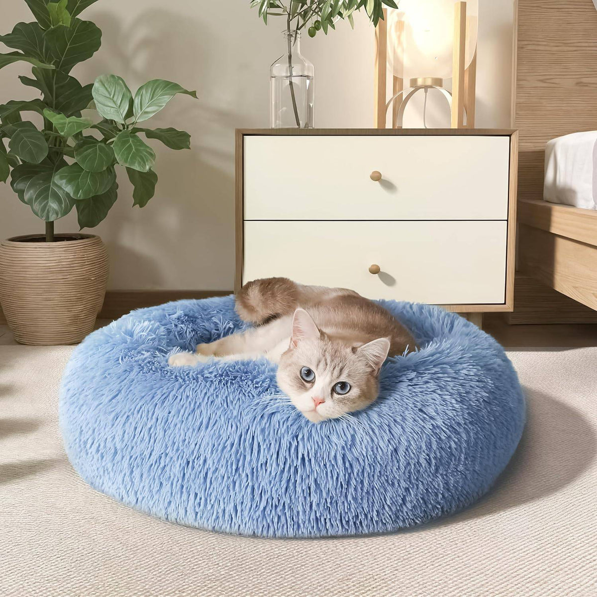 Cat resting its head on the raised rim of the light blue Noblias cloud calming donut bed.