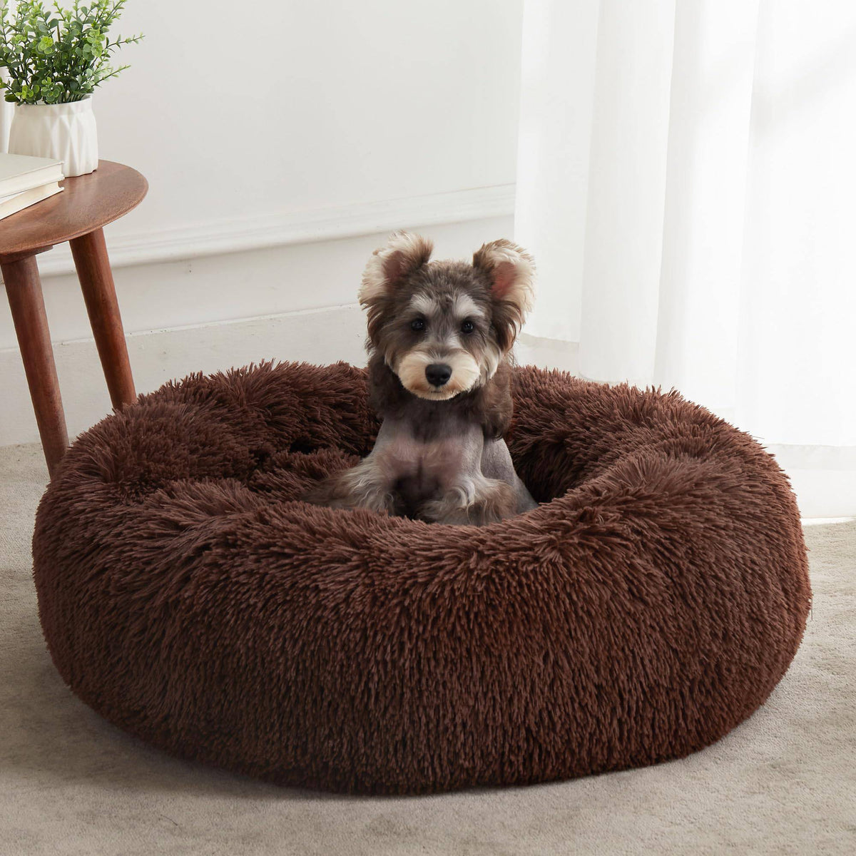 Coffee brown Noblias cloud calming donut pet bed with a schnauzer resting inside.