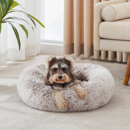 Miniature schnauzer lying with its head over the rim of the white gray Noblias cloud calming donut bed.
