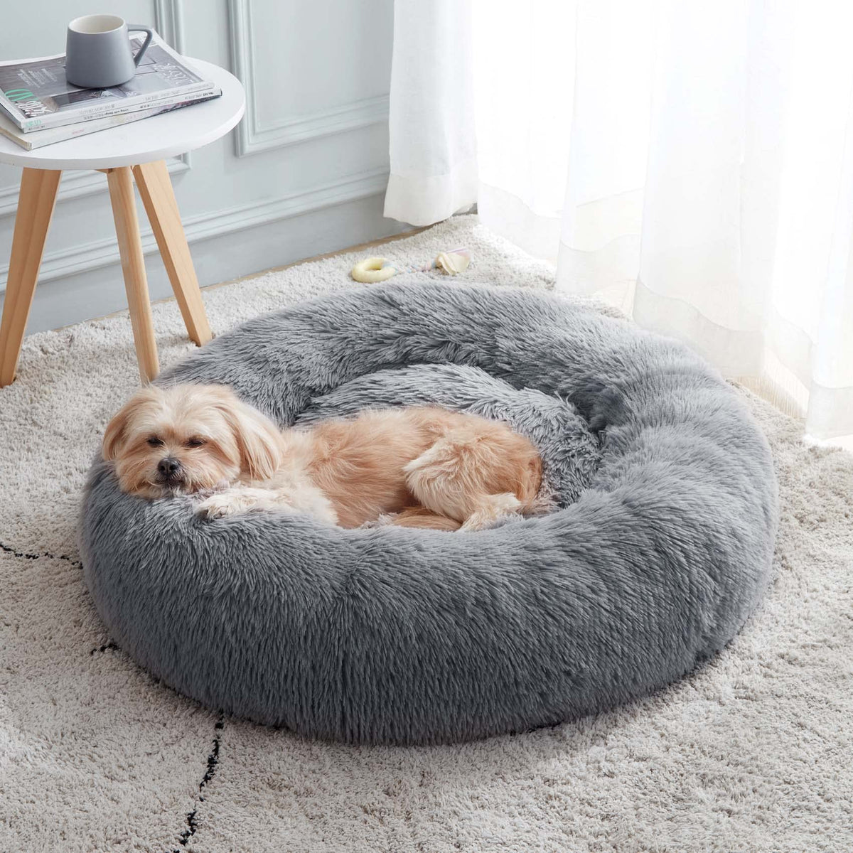 Small dog asleep in the navy gray Noblias cloud calming donut bed on a rug.