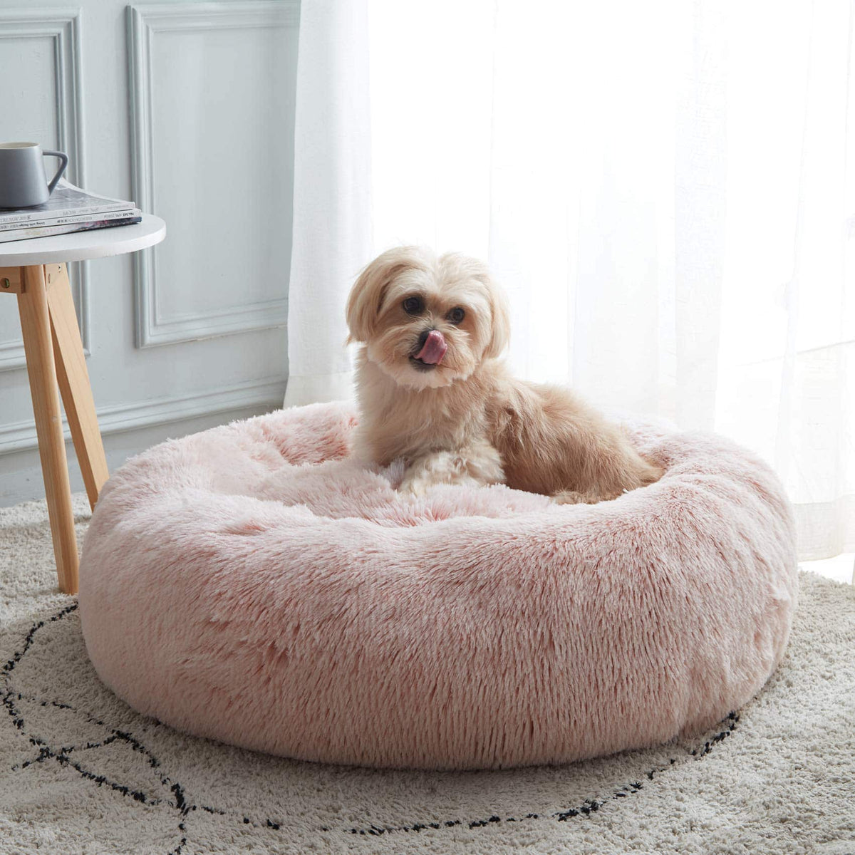 Shih tzu sitting up in the pink Noblias cloud calming donut bed beside a side table.