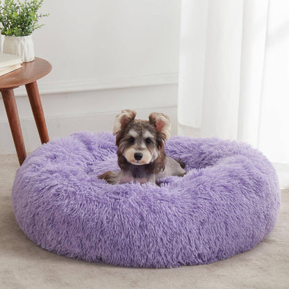 Purple Noblias cloud calming donut pet bed with a schnauzer sitting against the plush rim.