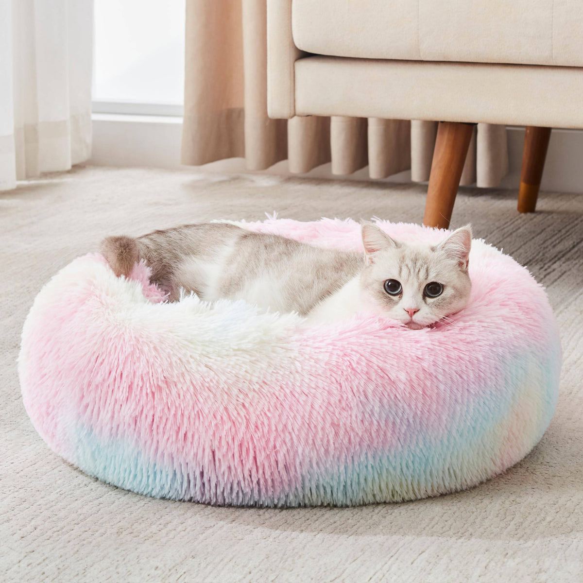 Cat stretched out in the rainbow Noblias cloud calming donut bed in a living room.