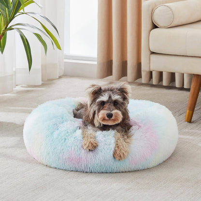 Miniature schnauzer resting in the rainbow Noblias cloud calming donut bed by a window.