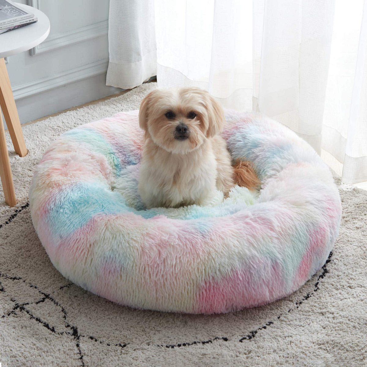 Shih tzu sitting in the rainbow Noblias cloud calming donut bed on a bedroom rug.