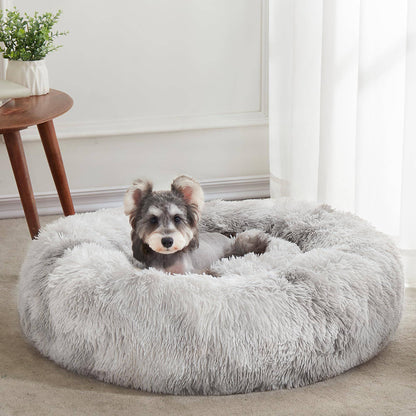 Miniature schnauzer sitting in the white gray Noblias cloud calming donut bed at home.