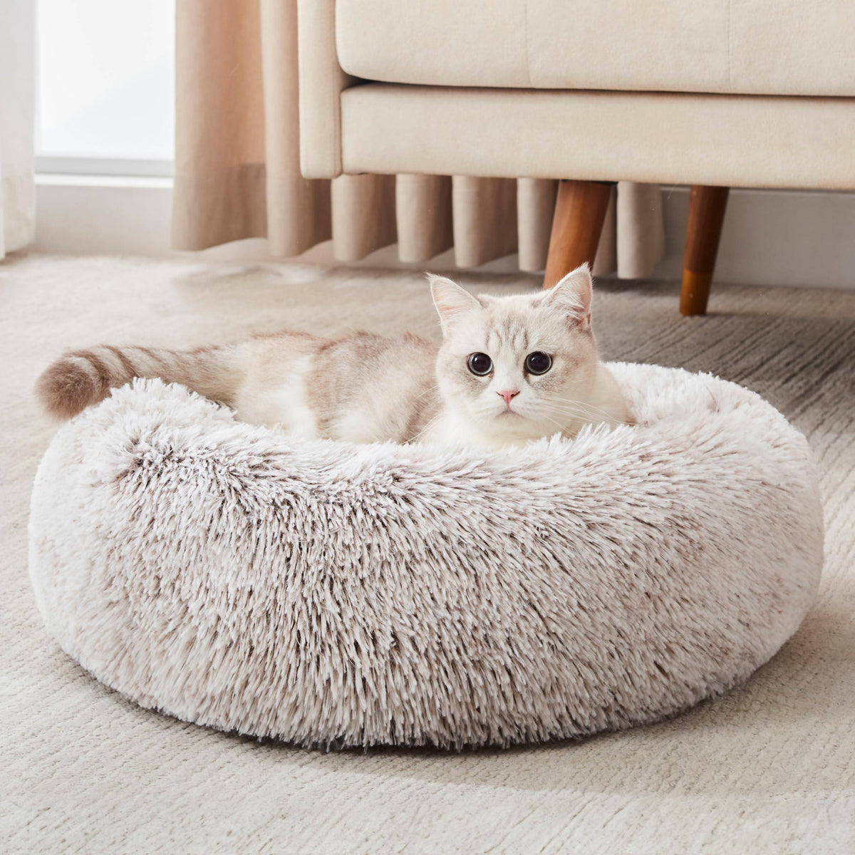 Cat lying in the white khaki Noblias cloud calming donut bed next to a sofa.