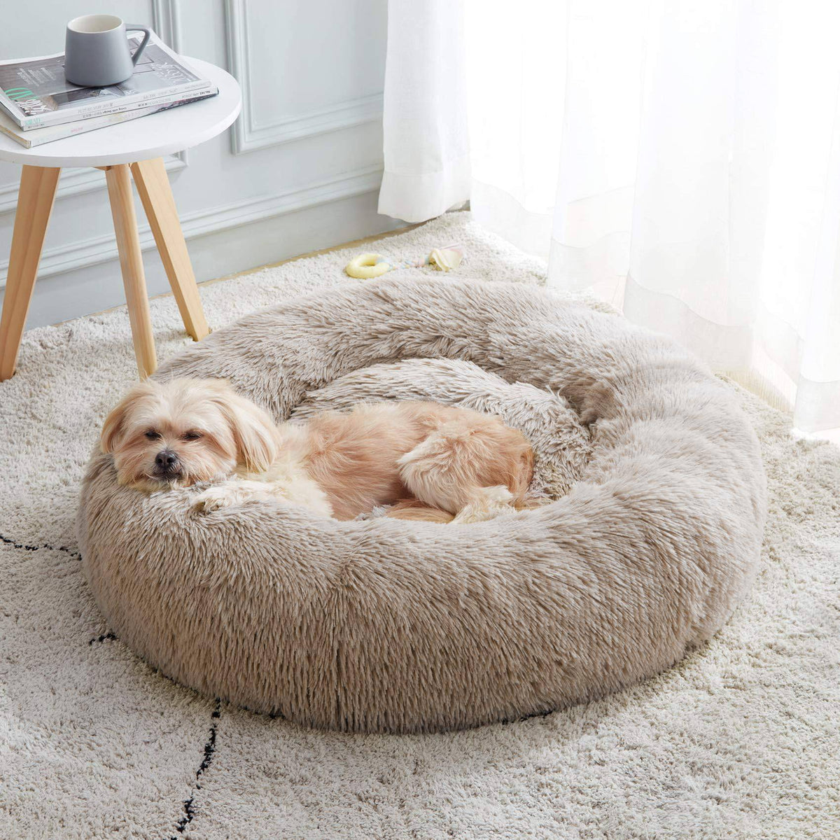 Small dog asleep in the white khaki Noblias cloud calming donut bed on a soft rug.