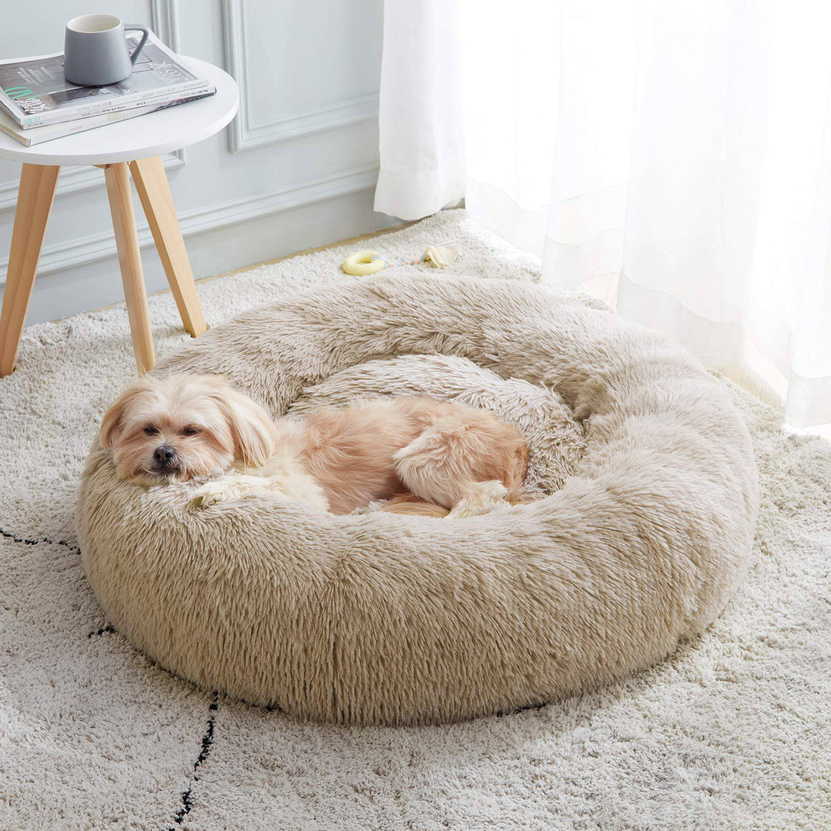 White khaki Noblias cloud calming donut pet bed with a small dog asleep against the raised rim.