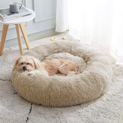White khaki Noblias cloud calming donut pet bed with a small dog asleep against the raised rim.