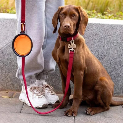 Orange Noblias collapsible silicone travel bowl clipped to a dog leash beside a chocolate labrador.