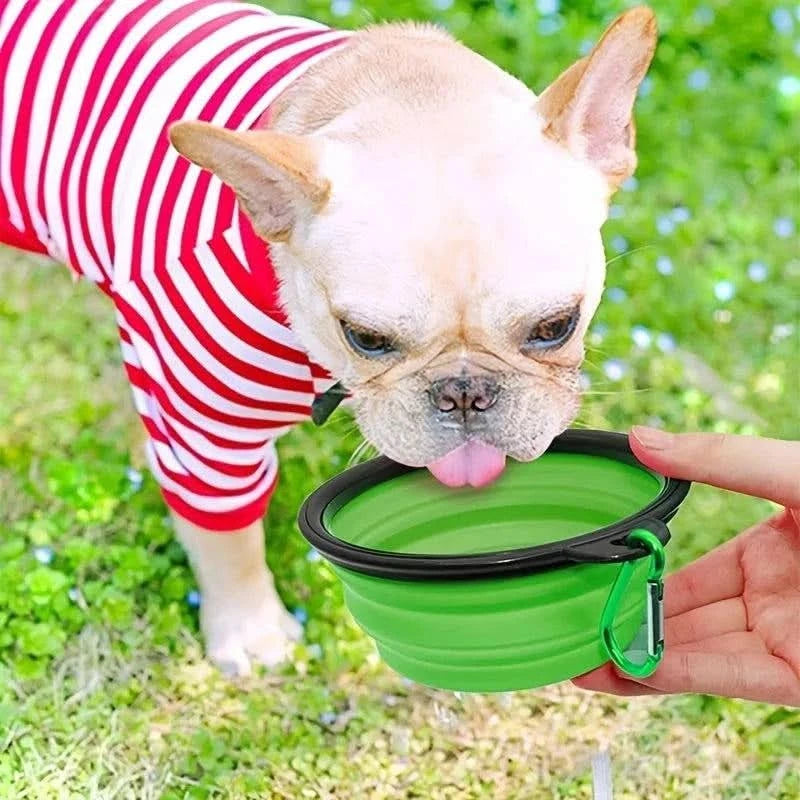 French bulldog drinking from the green Noblias collapsible silicone travel bowl held in a hand outdoors.